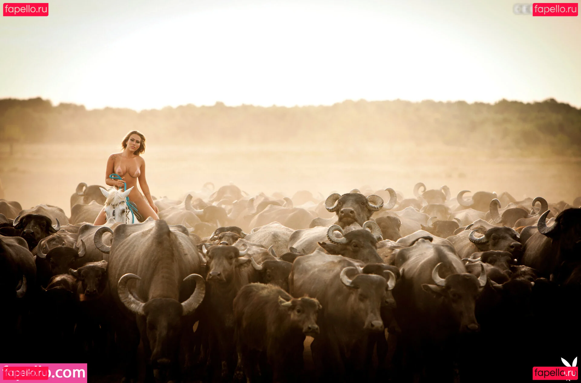 Playboy International Onlyfans Photo Gallery 