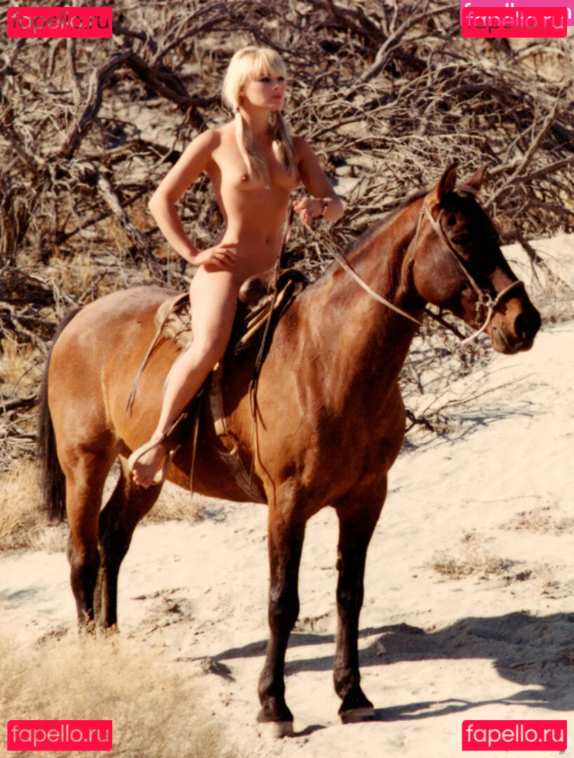 Playboy International Onlyfans Photo Gallery 