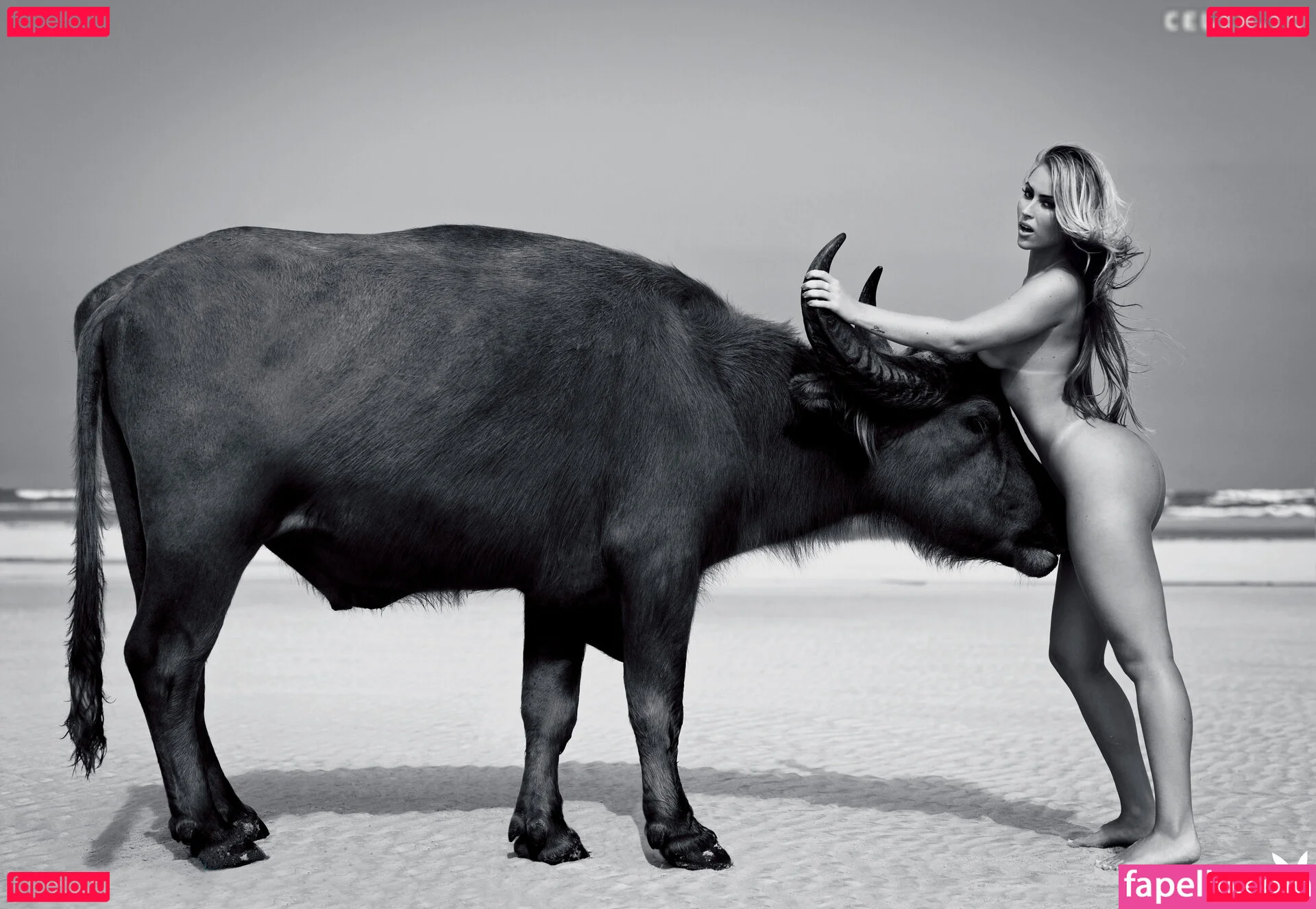 Playboy International Onlyfans Photo Gallery 