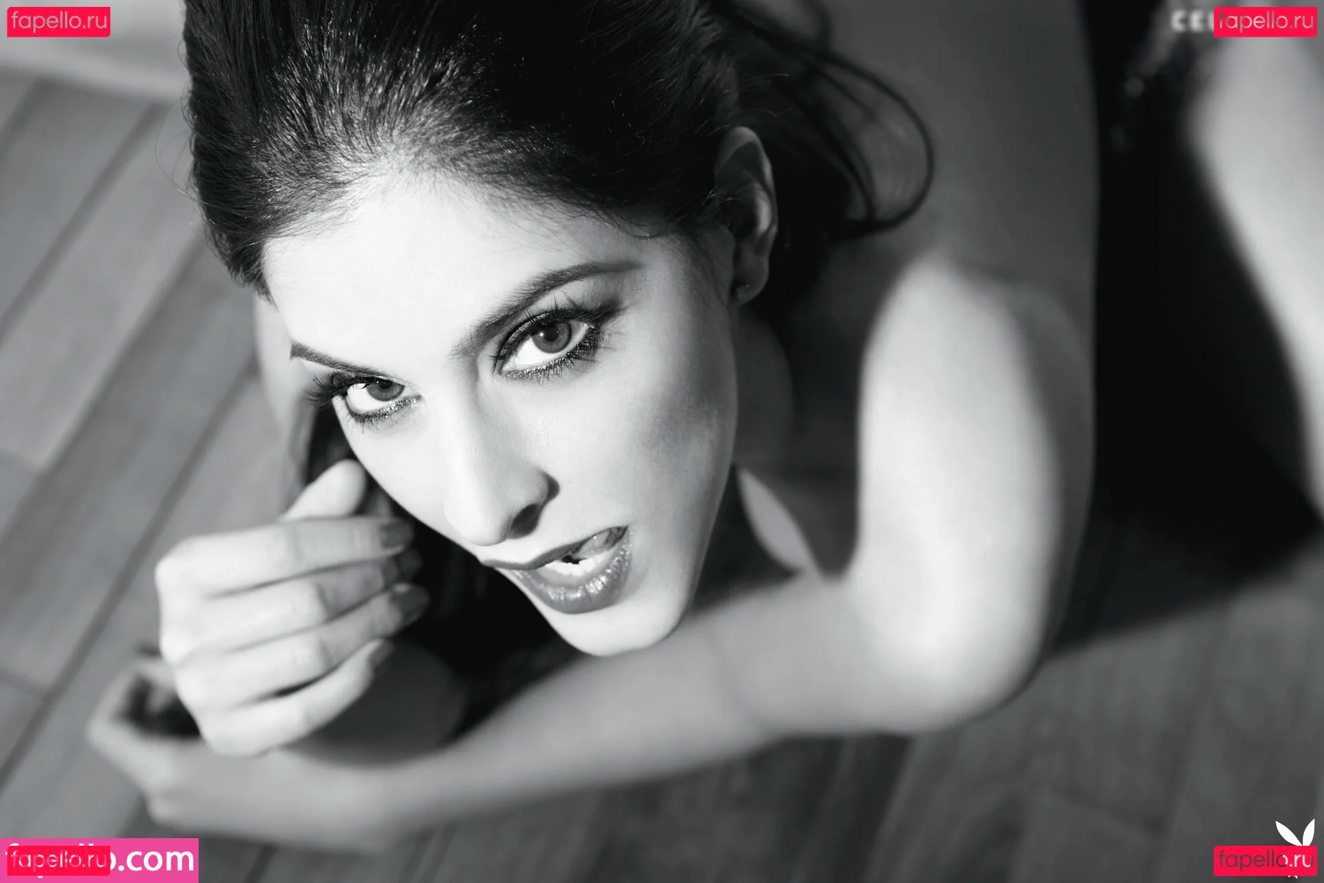 Playboy International Onlyfans Photo Gallery 