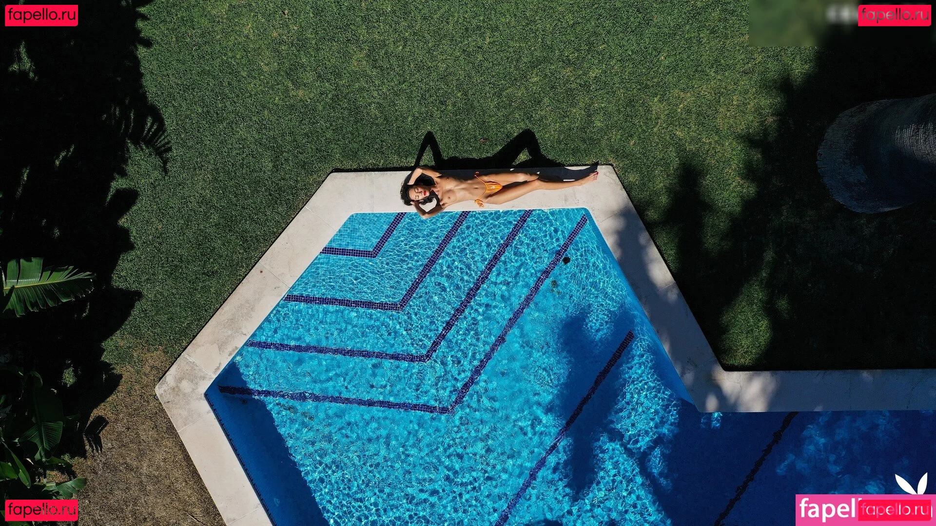 Playboy International Onlyfans Photo Gallery 