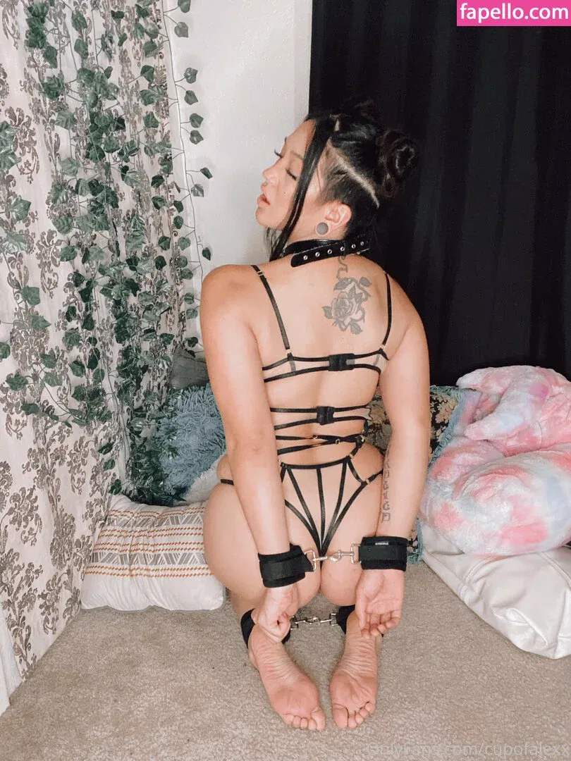 Cupofalexx Onlyfans Photo Gallery 