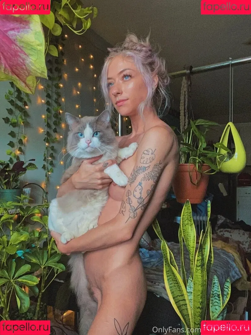 Bambi Sage Onlyfans Photo Gallery 