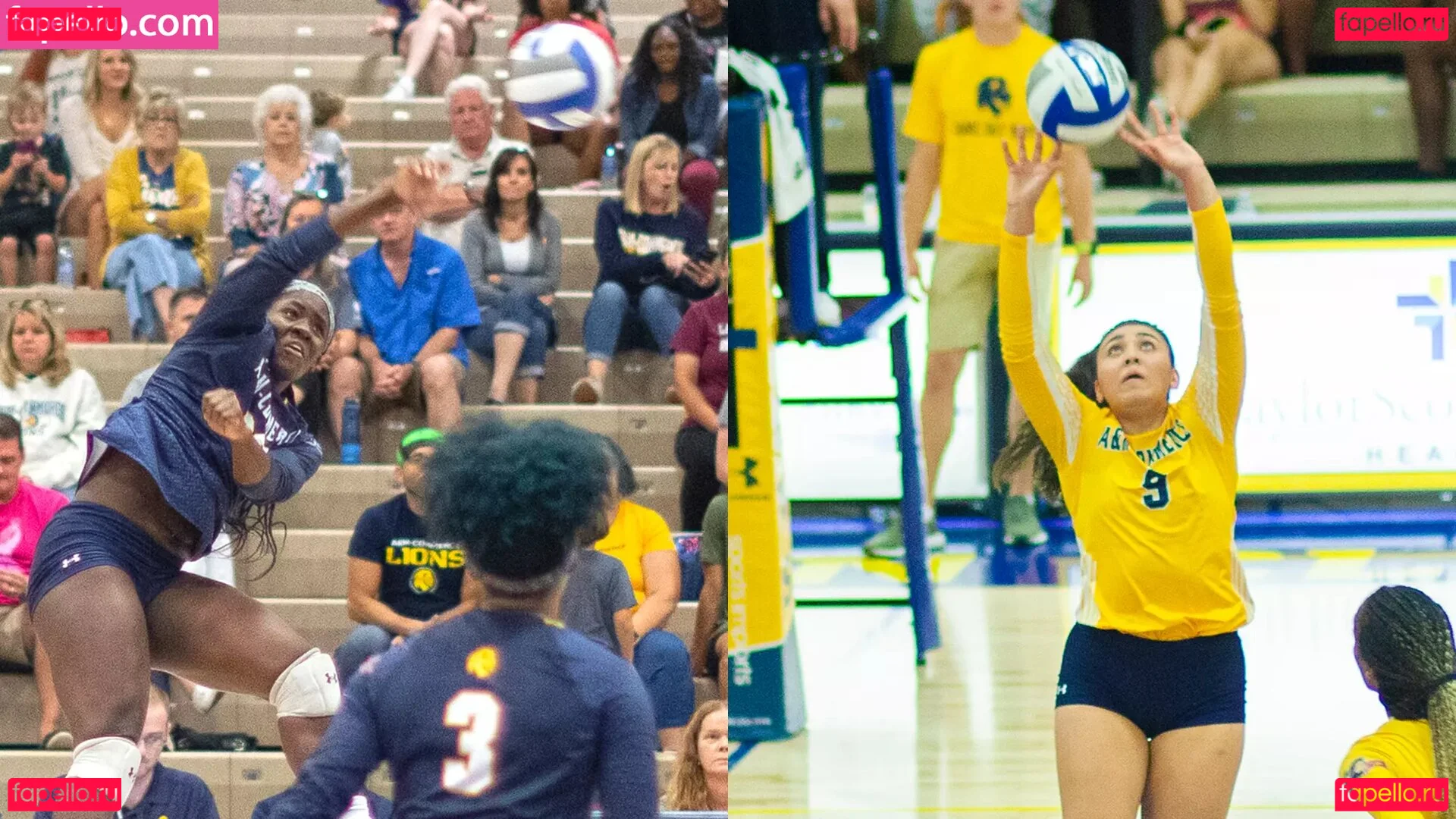 BinaNjikam Onlyfans Photo Gallery 